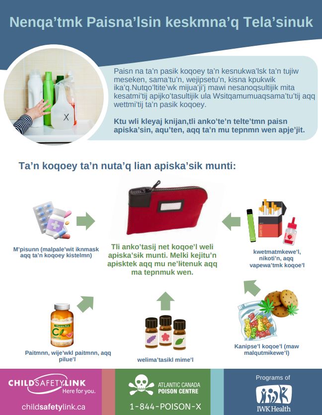 Prevent Poisonings Before They Happen (Pad of 25)