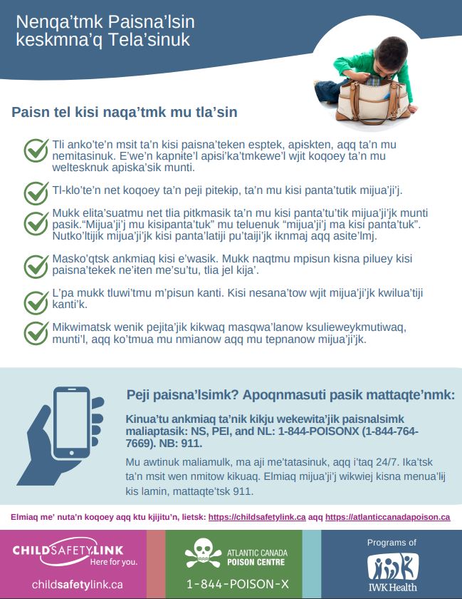 Prevent Poisonings Before They Happen (Pad of 25)